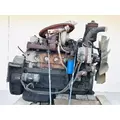 Cummins 6B 5.9 Engine Assembly thumbnail 6