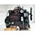 Cummins 6BT 5.9 Engine Assembly thumbnail 4