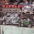 Cummins 8.3 Fuel Pump (Tank) thumbnail 1
