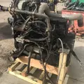 Cummins 8.9ISL Engine Assembly thumbnail 12