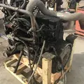 Cummins 8.9ISL Engine Assembly thumbnail 14