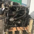 Cummins 8.9ISL Engine Assembly thumbnail 5