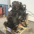 Cummins 8.9ISL Engine Assembly thumbnail 6