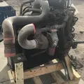 Cummins 8.9ISL Engine Assembly thumbnail 8