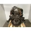 Cummins B4.5 Engine Assembly thumbnail 4