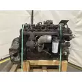 Cummins B5.9 Engine Assembly thumbnail 7