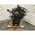 Cummins B5.9 Engine Assembly thumbnail 2