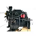 Cummins B5.9 Engine Assembly thumbnail 1