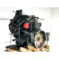 Cummins B5.9 Engine Assembly thumbnail 2