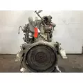 Cummins C8.3 Engine Assembly thumbnail 4