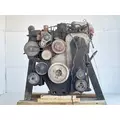 Cummins C8.3 Engine Assembly thumbnail 5