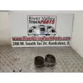 Cummins ISB 6.7 Belt Tensioner thumbnail 1