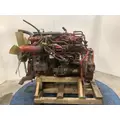 Cummins ISB6.7 Engine Assembly thumbnail 8