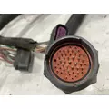 Cummins ISB6.7 Engine Wiring Harness thumbnail 2