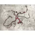 Cummins ISB6.7 Engine Wiring Harness thumbnail 2
