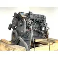 Cummins ISB Engine Assembly thumbnail 2