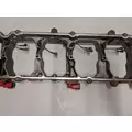 Cummins ISC8.3 Engine Assembly thumbnail 3