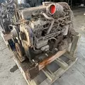 Cummins ISC8.3 Engine Assembly thumbnail 6
