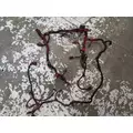 Cummins ISC8.3 Engine Wiring Harness thumbnail 1