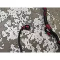 Cummins ISC8.3 Engine Wiring Harness thumbnail 2
