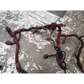 Cummins ISC8.3 Engine Wiring Harness thumbnail 7