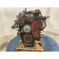 Cummins ISC Engine Assembly thumbnail 5