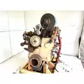 Cummins ISC Engine Assembly thumbnail 3