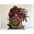 Cummins ISL9 Engine Assembly thumbnail 12