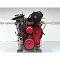 Cummins ISL Engine Assembly thumbnail 3