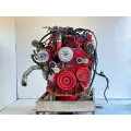 Cummins ISM 330 Engine Assembly thumbnail 3