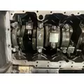 Cummins ISM Engine Assembly thumbnail 23