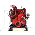 Cummins ISM Engine Assembly thumbnail 11