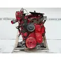 Cummins ISM Engine Assembly thumbnail 6