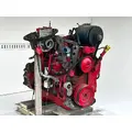 Cummins ISM Engine Assembly thumbnail 6