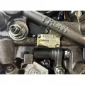 Cummins ISX11.9 Engine Assembly thumbnail 15