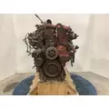 Cummins ISX11.9 Engine Assembly thumbnail 16