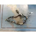 Cummins ISX11.9 Engine Wiring Harness thumbnail 2