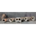 Cummins ISX12 G Exhaust Manifold thumbnail 5