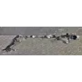 Cummins ISX12 Wire Harness, Transmission thumbnail 1