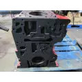 Cummins ISX15 Cylinder Block thumbnail 4