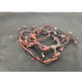 Cummins ISX15 Engine Wiring Harness thumbnail 1
