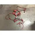 Cummins ISX Engine Wiring Harness thumbnail 1