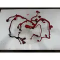 Used Engine Wiring Harness CUMMINS ISB6.7 for sale thumbnail