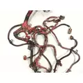 USED Engine Wiring Harness CUMMINS ISB6.7 for sale thumbnail