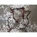 Engine ECM, Wiring, & Sensors Engine Wiring Harness Cummins ISC8.3 for sale thumbnail