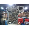 NEW Cylinder Block CUMMINS ISM11 for sale thumbnail