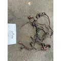 Used Engine Wiring Harness CUMMINS ISX for sale thumbnail
