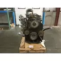 Cummins L10 Engine Assembly thumbnail 2