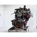 Cummins L10 Engine Assembly thumbnail 9