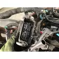 Cummins M11 / ISM 10.8 Wire Harness, Transmission thumbnail 7